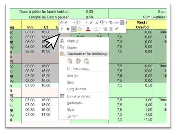 Excel pop-up meny